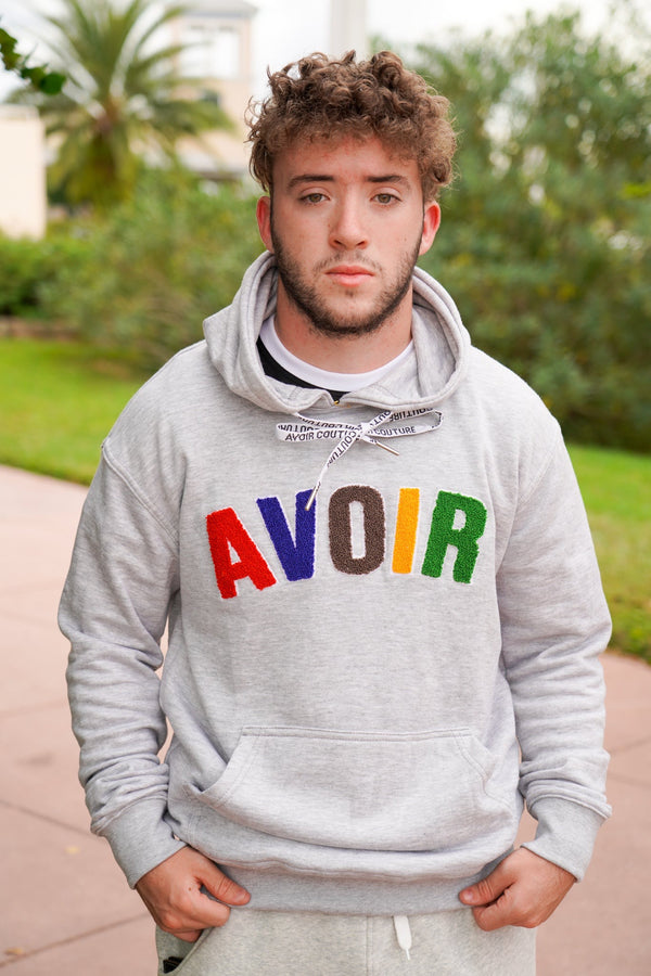 Hoodie Sweatshirt (chenille logo)